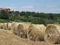Clicca per vedere l'immagine ingrandita