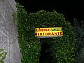 Clicca per vedere l'immagine ingrandita