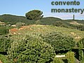 Clicca per vedere l'immagine ingrandita